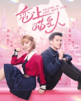 探索知识星球平台-小鹿式女友被求婚,你看好他们的幸福吗?专属学习社区
